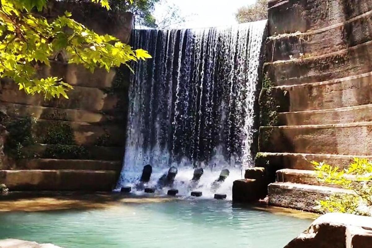 uma fonte com patos parados na água