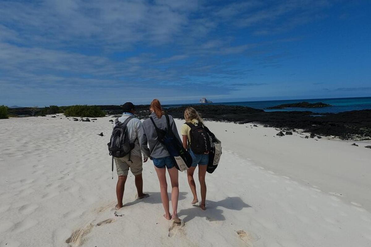 a couple of people walking on the beach