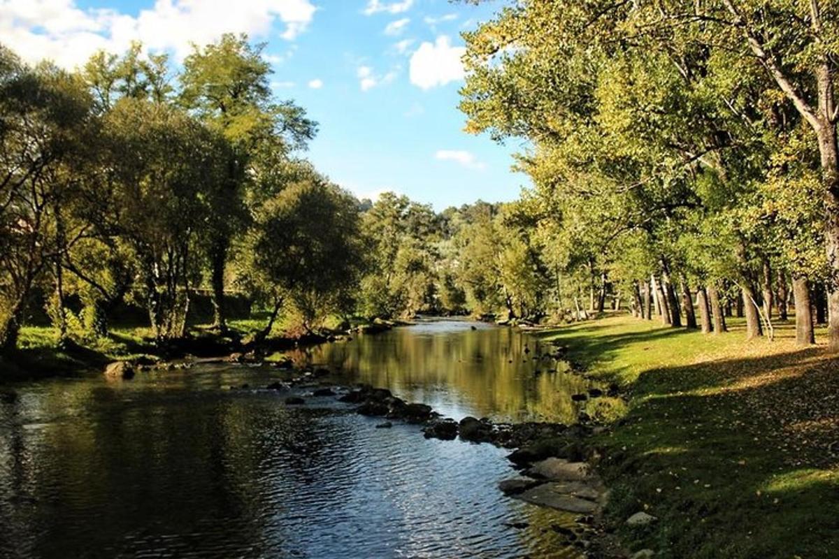 a river with trees on the side of it