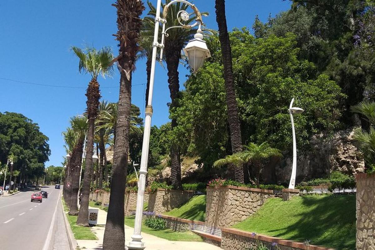 pouliční lampa na kraji silnice s palmami
