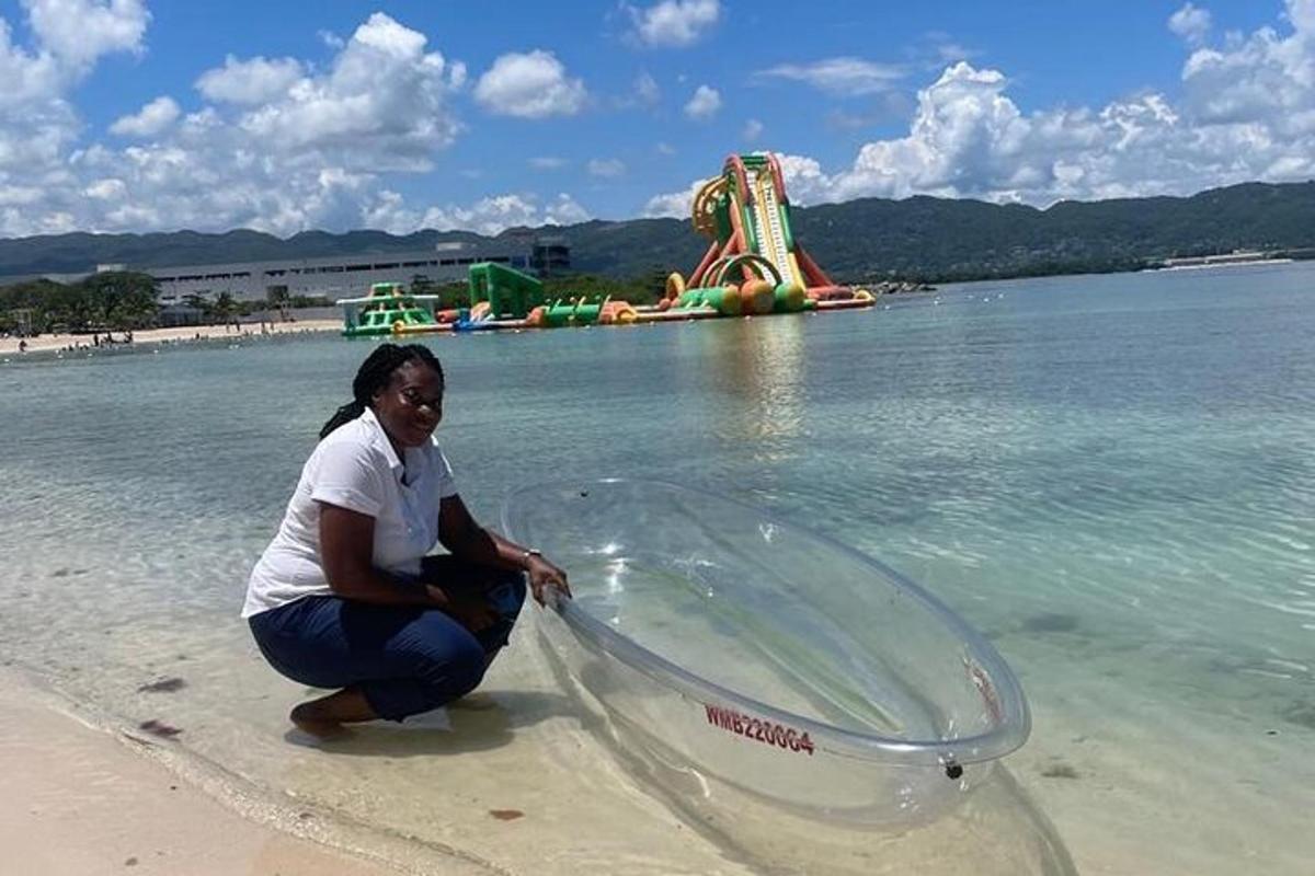 seorang wanita berlutut di pantai di sebelah taman air