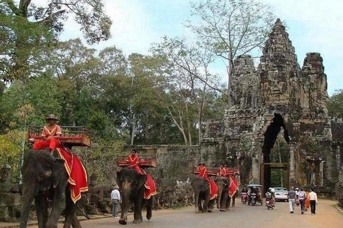 sekelompok orang yang menunggangi punggung gajah