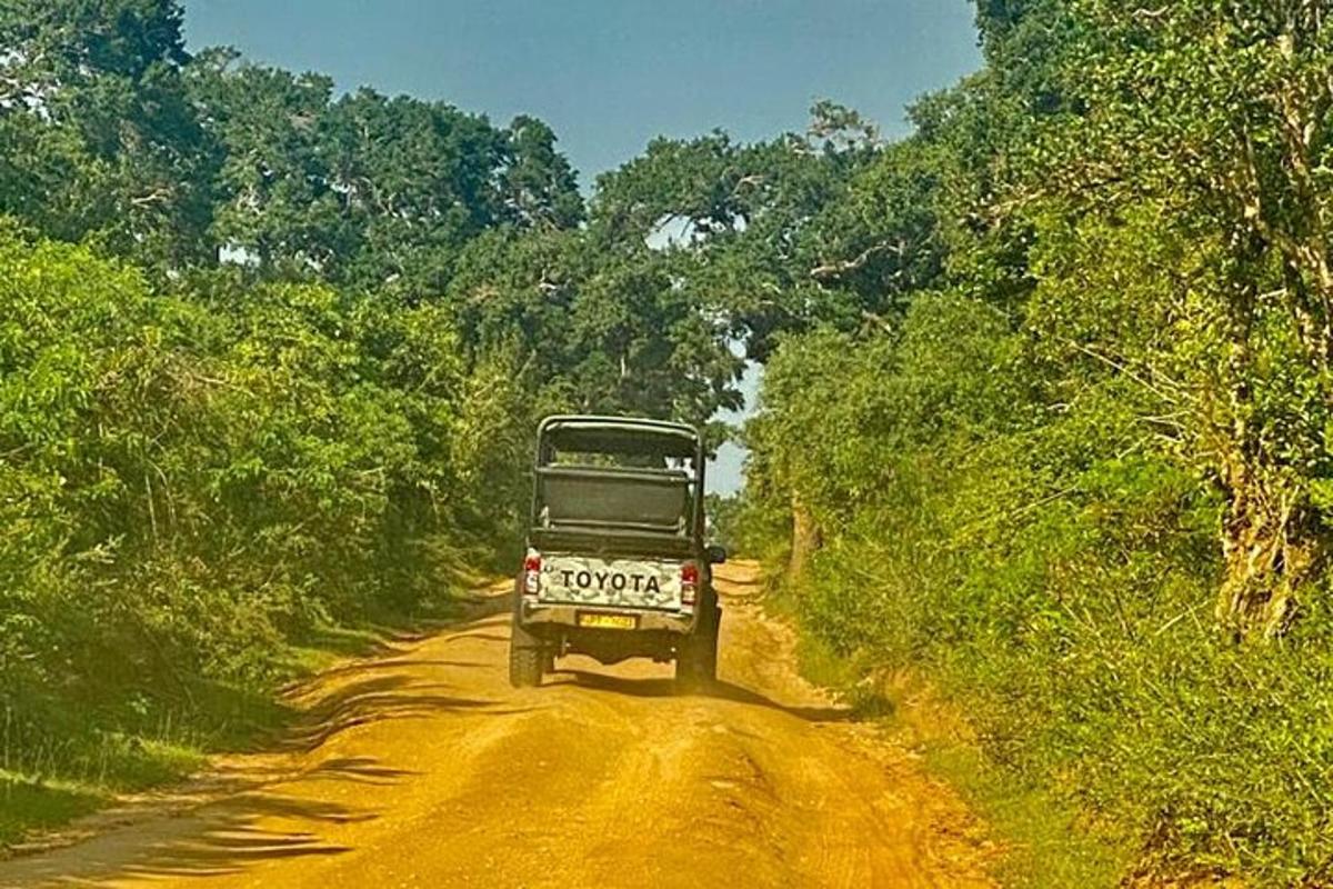 Un camión circula por un camino de tierra