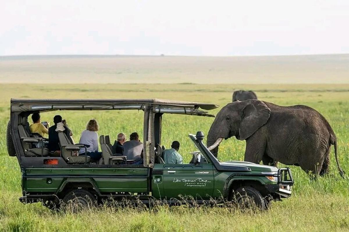 một nhóm người trên xe jeep trước một con voi