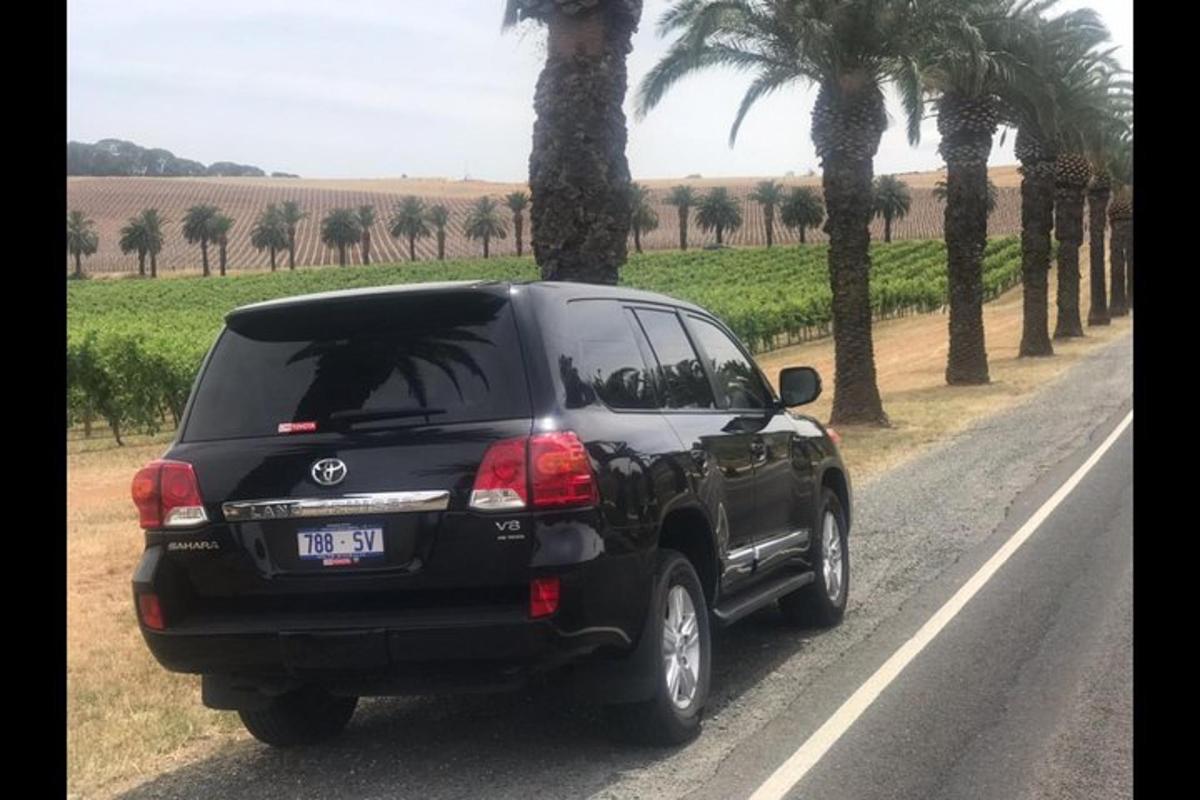 un cotxe negre aparcat en una carretera al costat de palmeres
