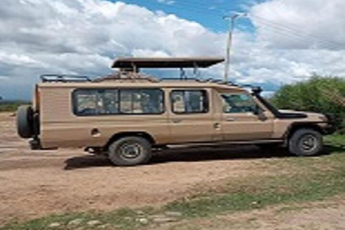 một chiếc xe jeep màu nâu đỗ trên một con đường đất