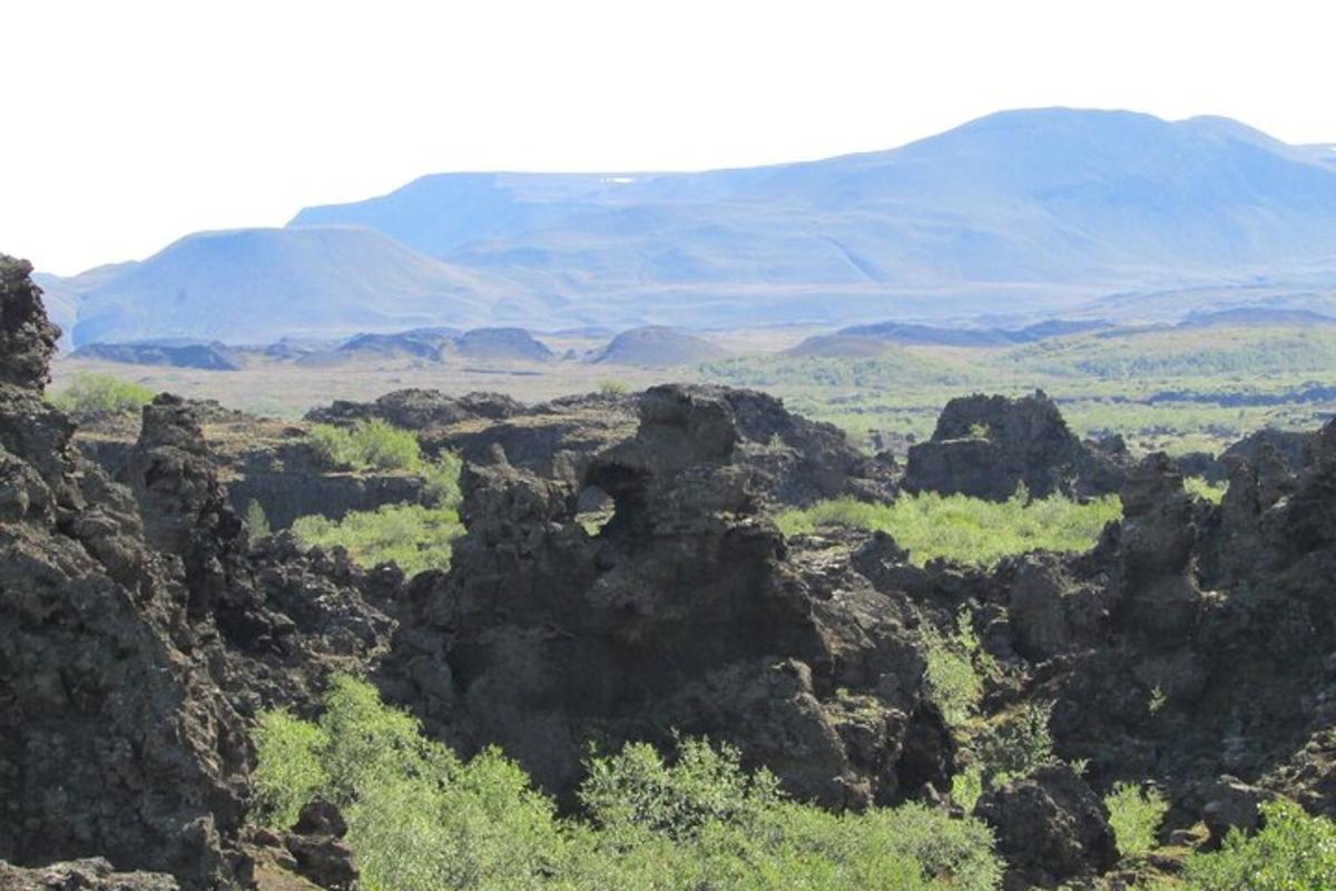 Útsýni yfir grýttan akur með fjöllum í bakgrunni