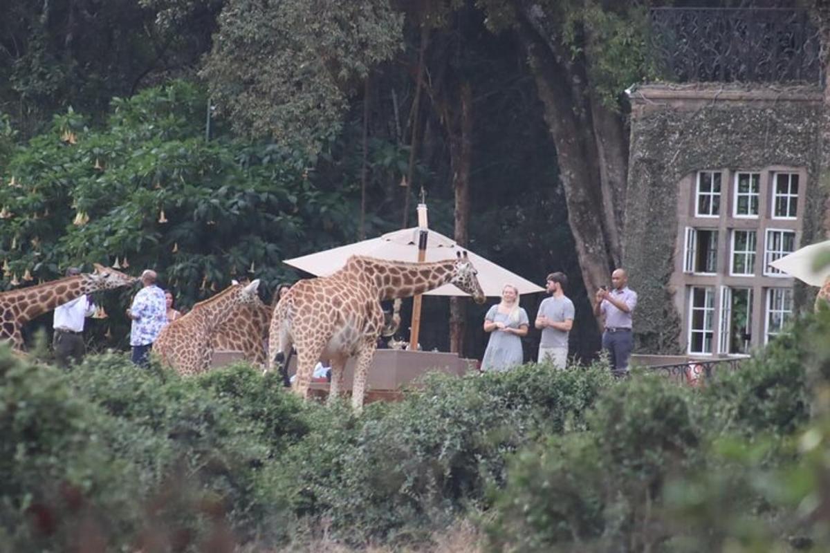 a group of giraffes standing in front of a building