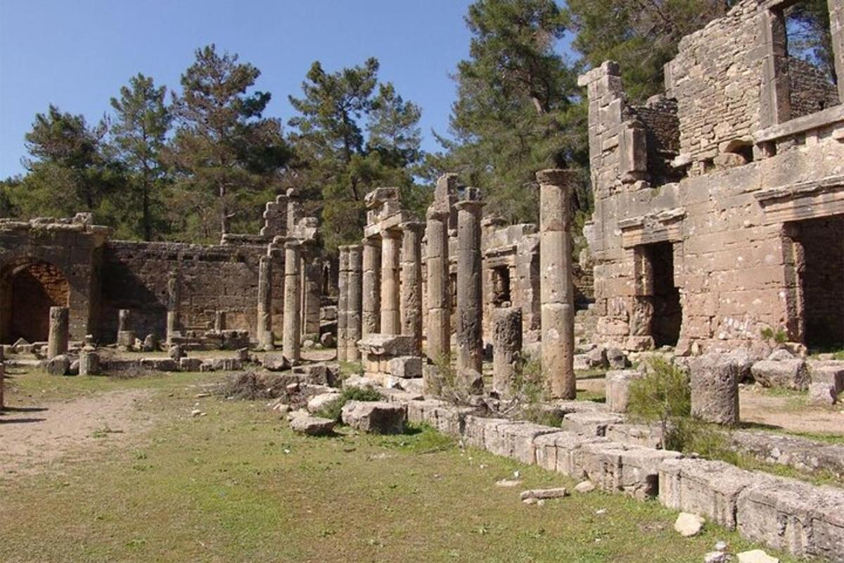 un antico edificio con colonne in un campo