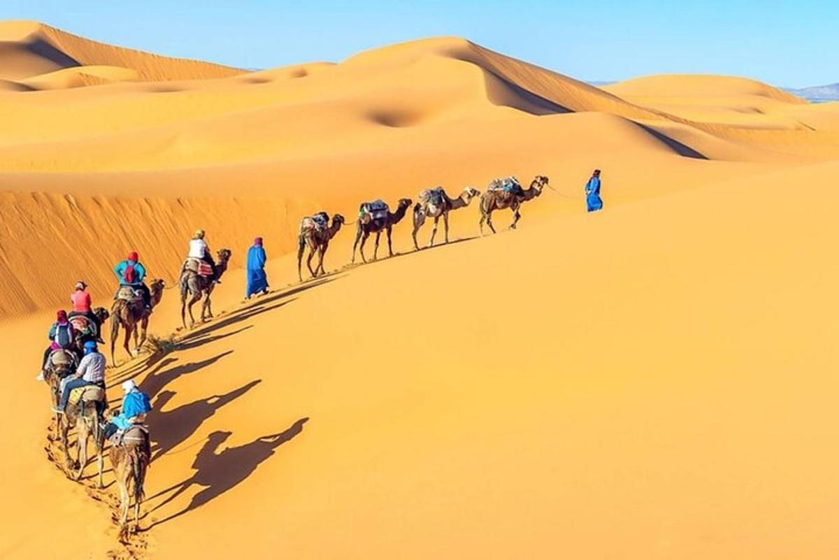 un gruppo di persone a cavallo di cammelli nel deserto