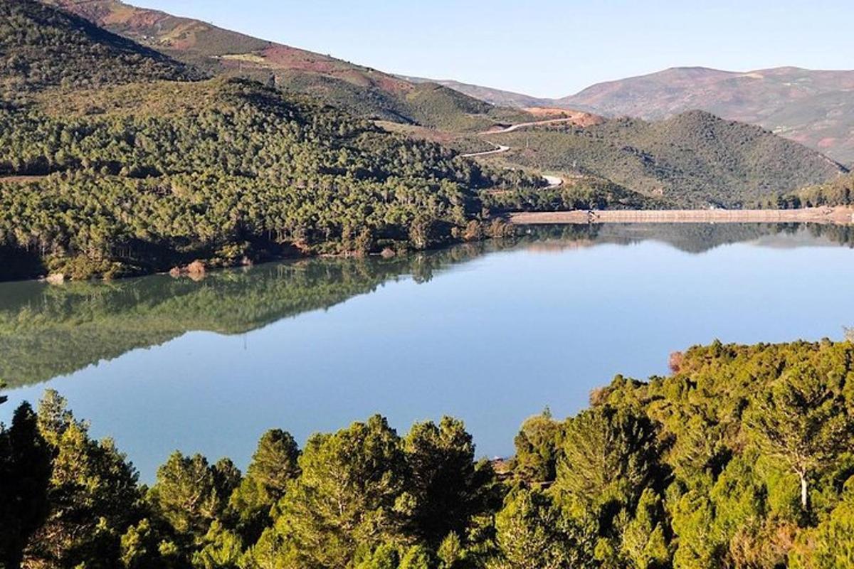 a view of a lake with trees and a bridge