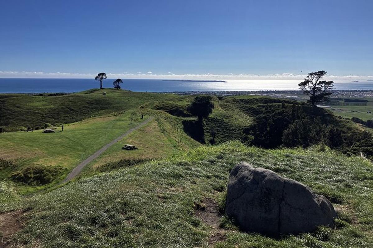 a large rock on a grassy hill next to the ocean