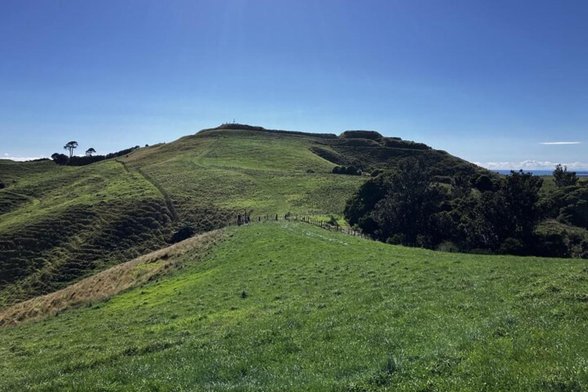 a group of people standing on top of a hill