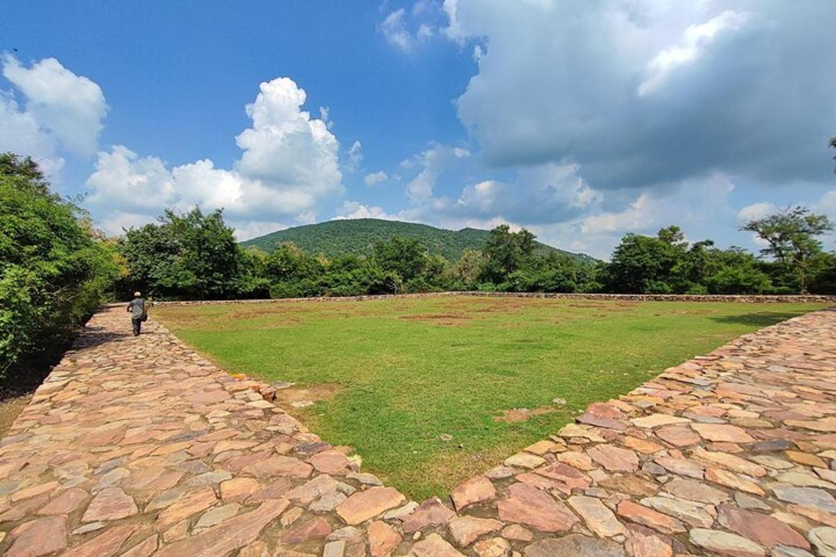 a person walking through a large field of grass