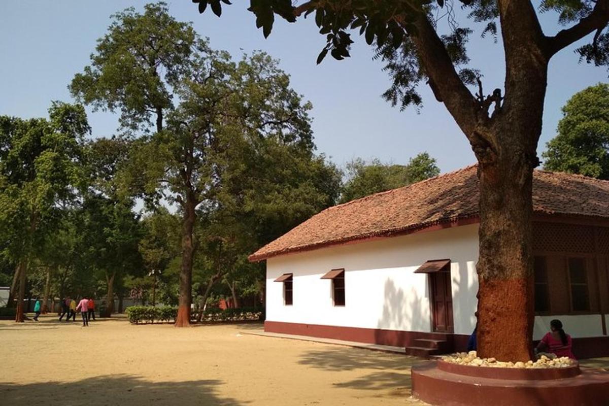 a white building with a tree in front of it