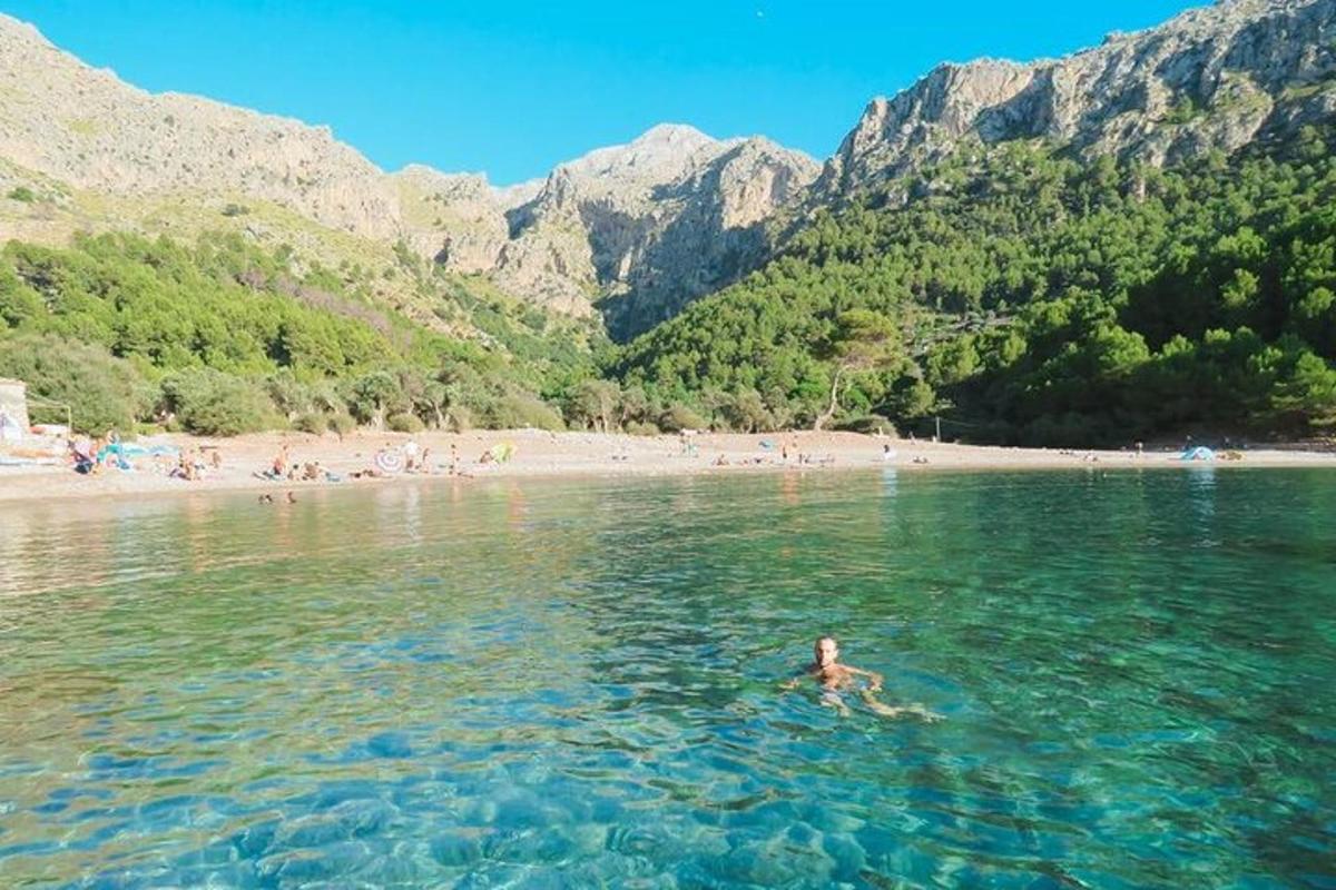 una persona nadando en el agua en una playa