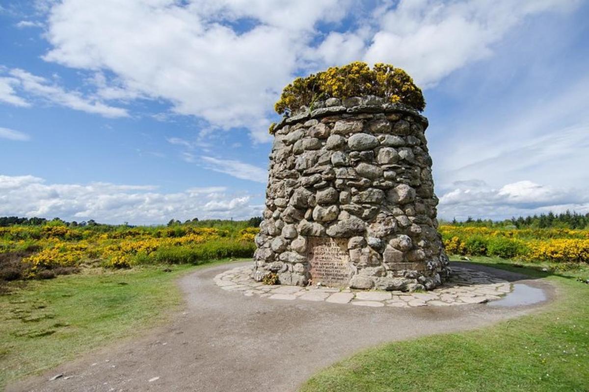 una torre di pietra con una pianta in cima