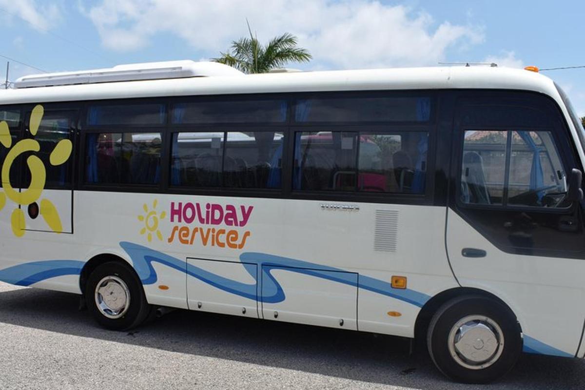 bílý autobus s namalovanou včelou na boku