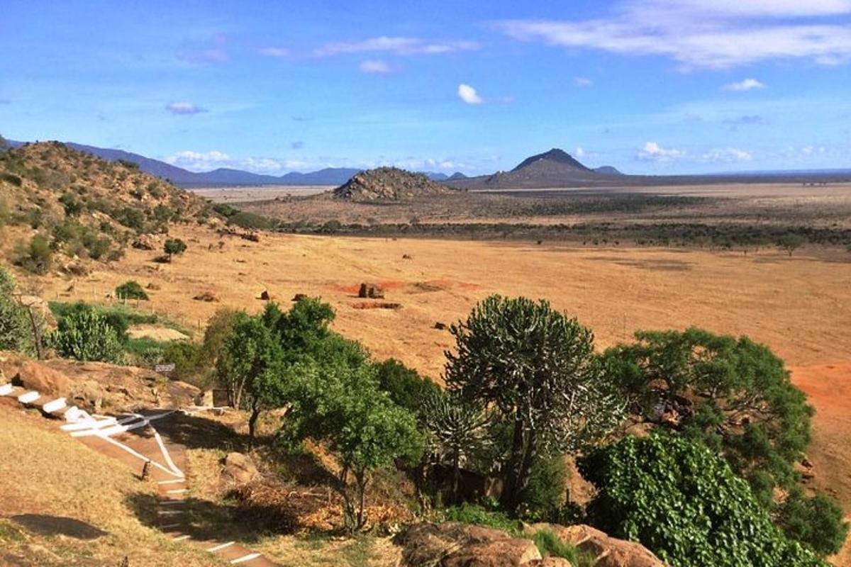 Un campo abierto con árboles y montañas en la distancia.