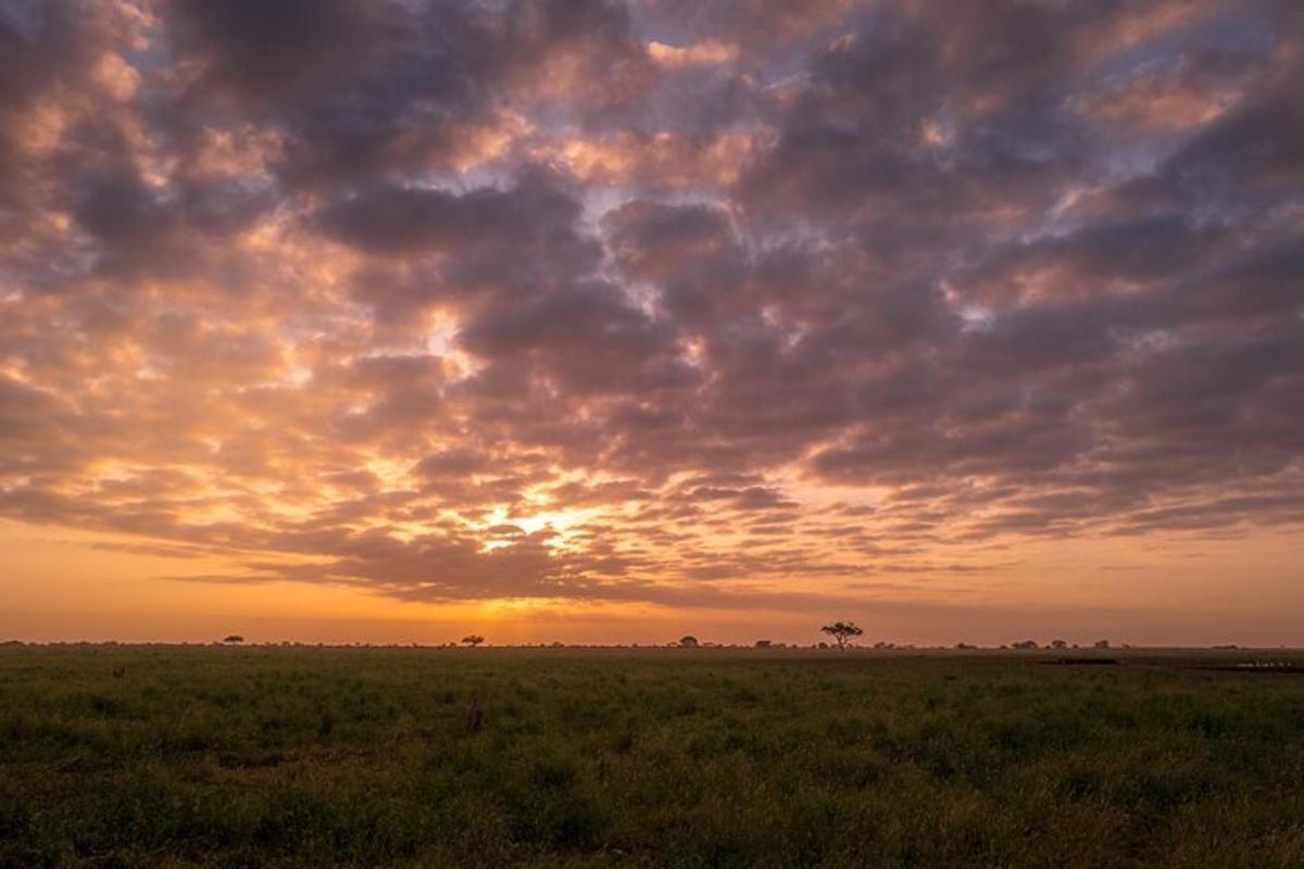 una puesta de sol en un campo con un cielo nublado