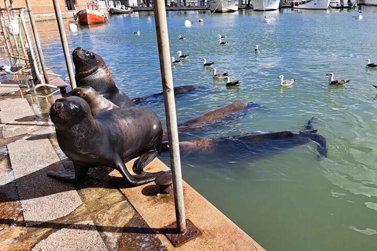 a statue of seals in the water with ducks