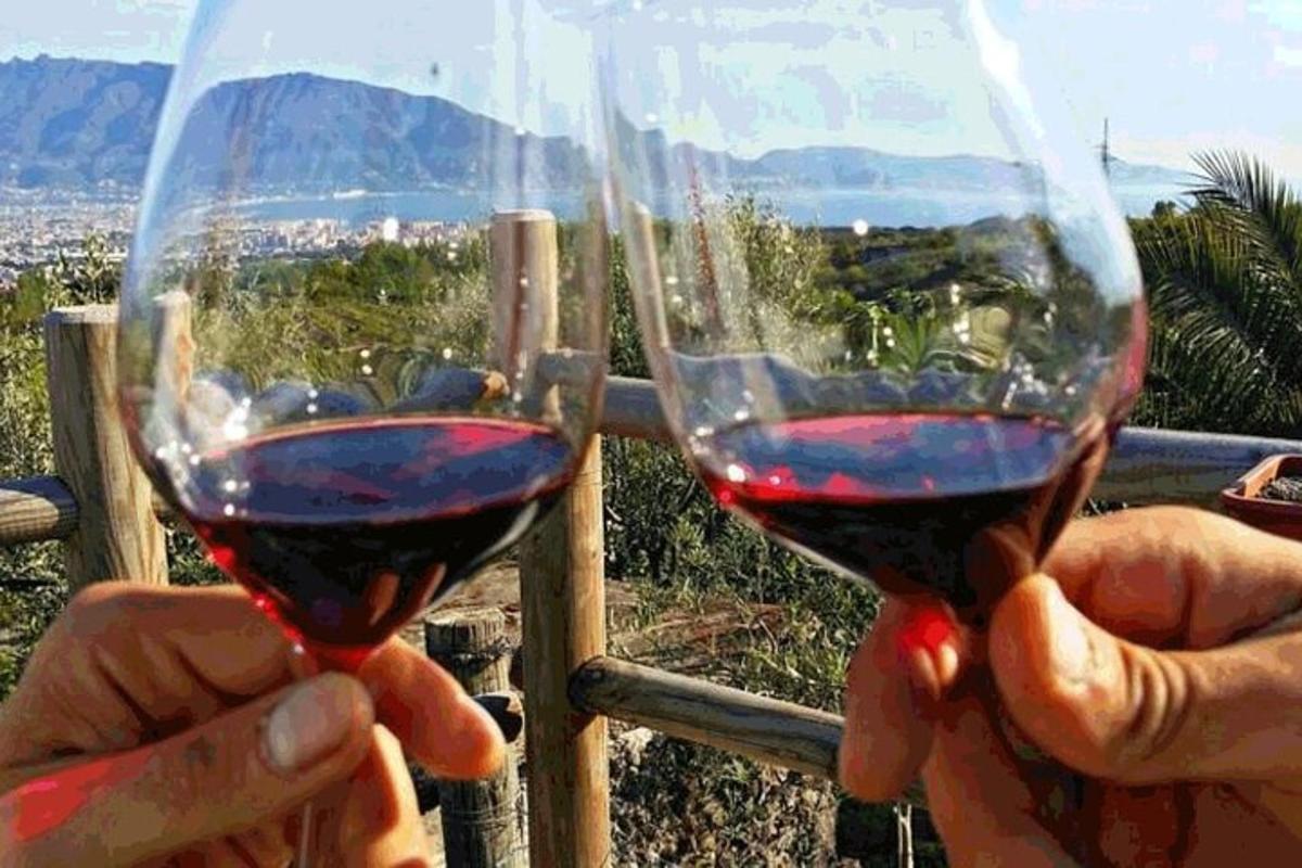 uma pessoa segurando duas taças de vinho tinto