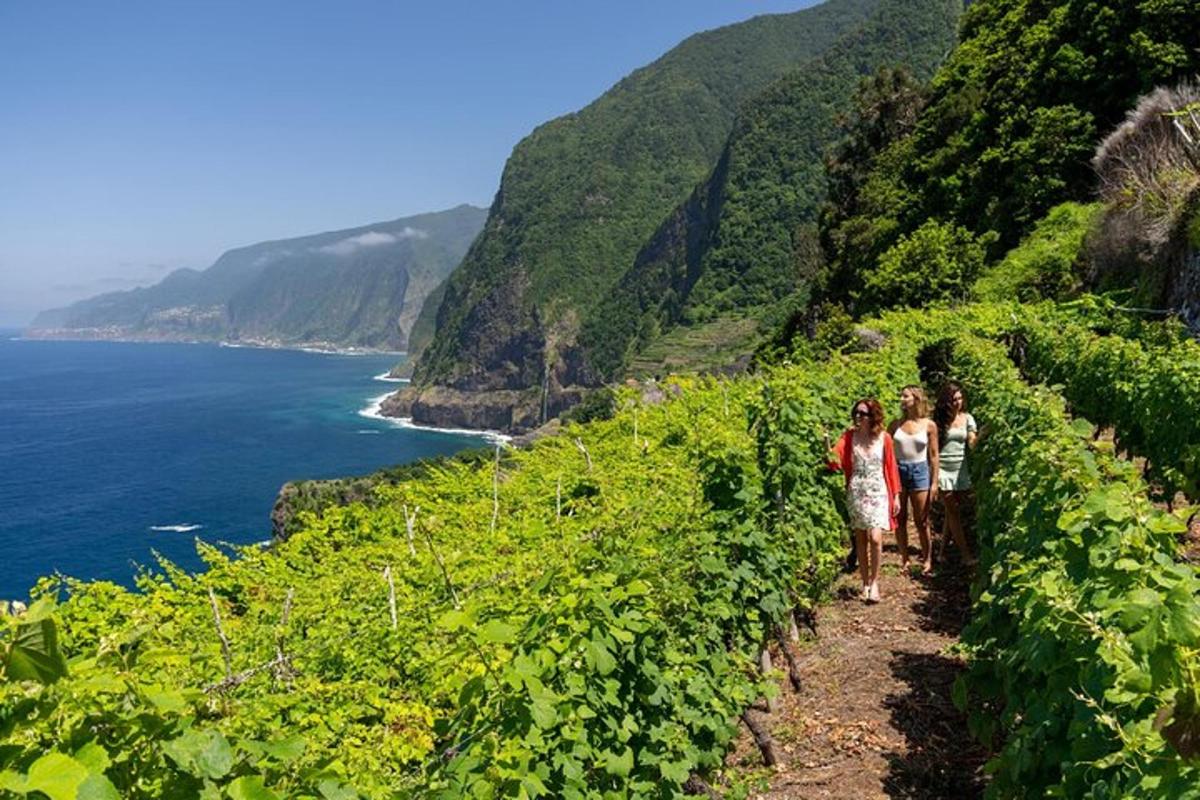 a group of people walking on a hill next to the ocean