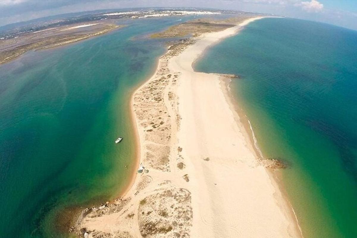 una vista aérea de una playa y el océano