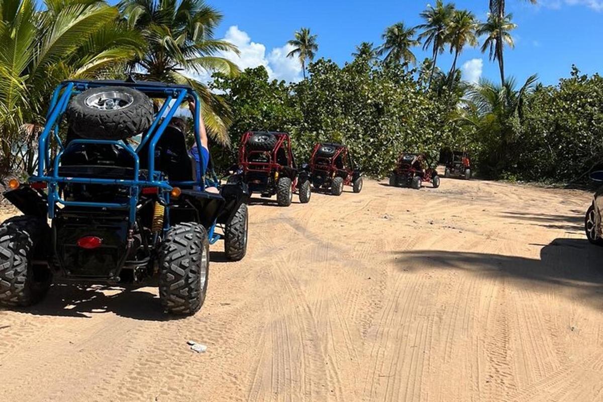 un grup de quatre vehicles de quatre rodes aparcats en un camí de terra