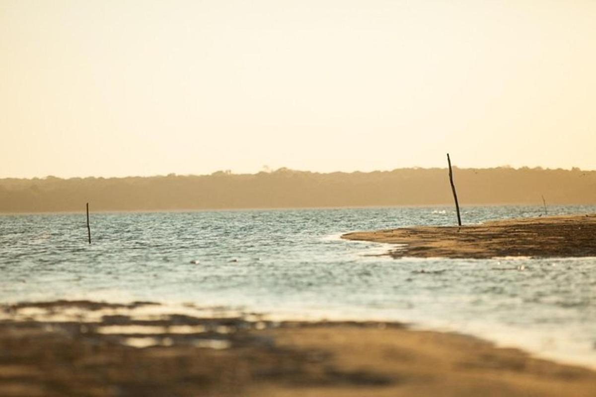 uno specchio d'acqua con due poli al suo interno