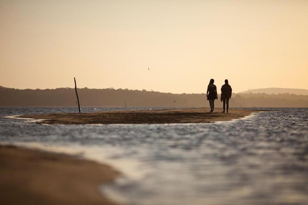 due persone che camminano su una spiaggia vicino all'acqua