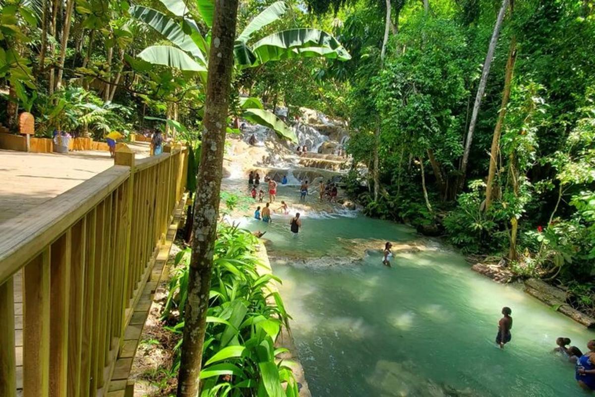 a group of people swimming in a river in the jungle