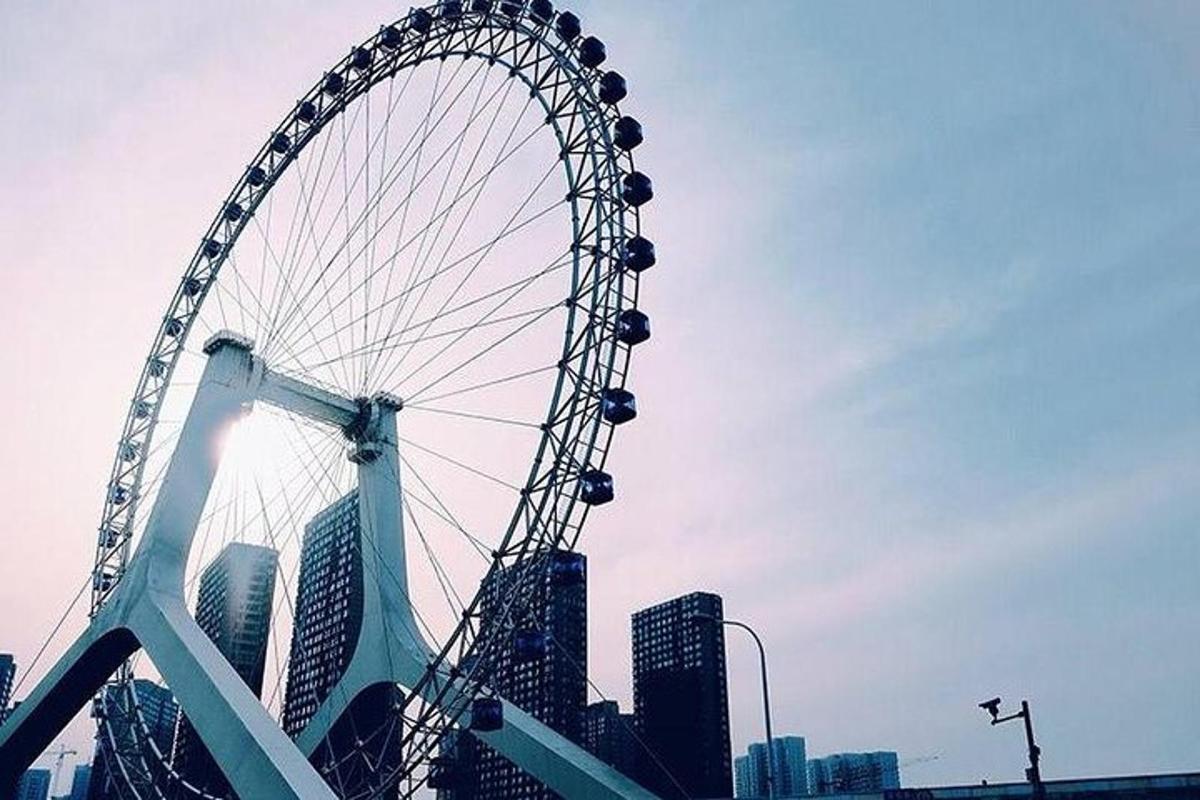 a large ferris wheel in front of a city