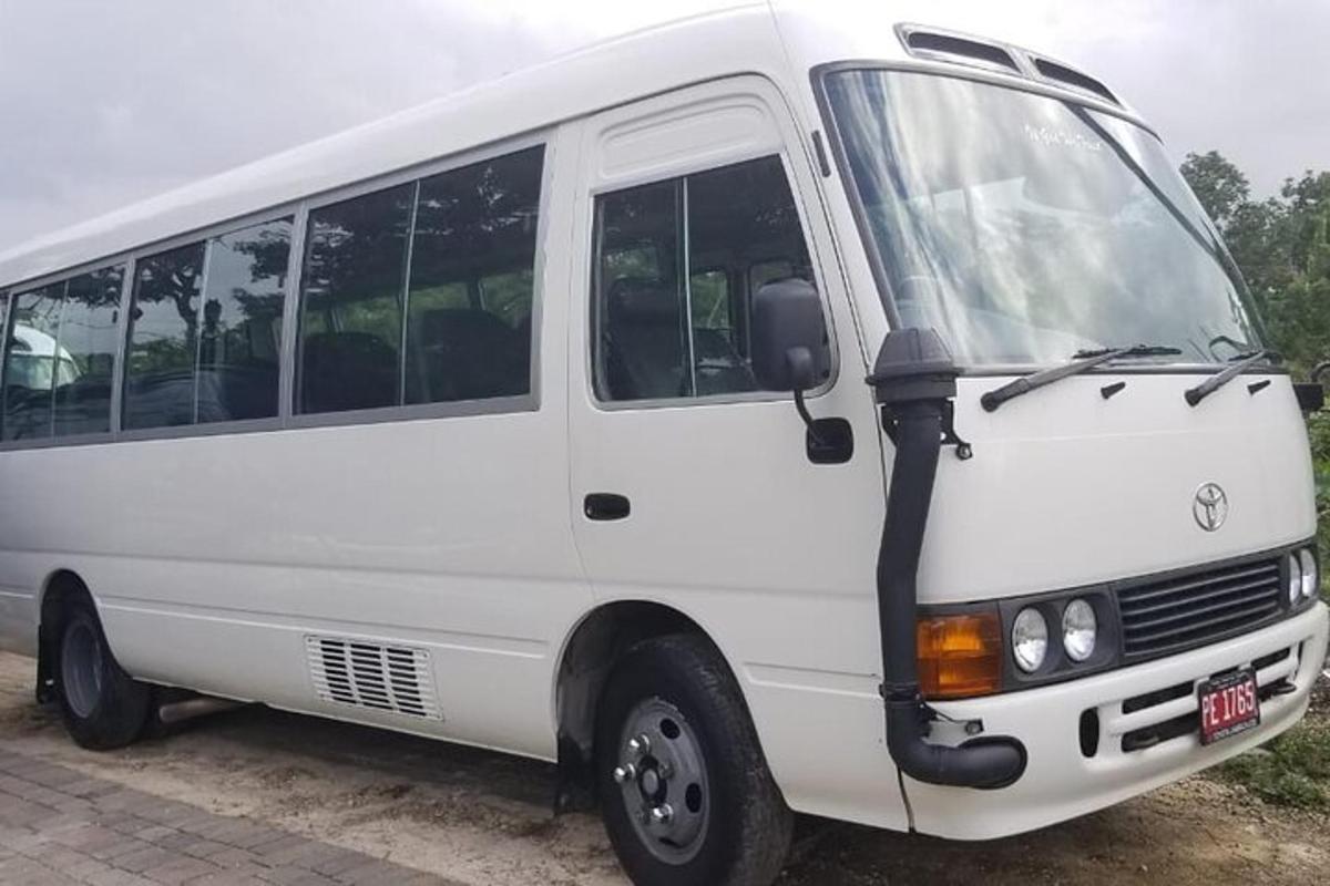 un autobus bianco parcheggiato sul ciglio di una strada