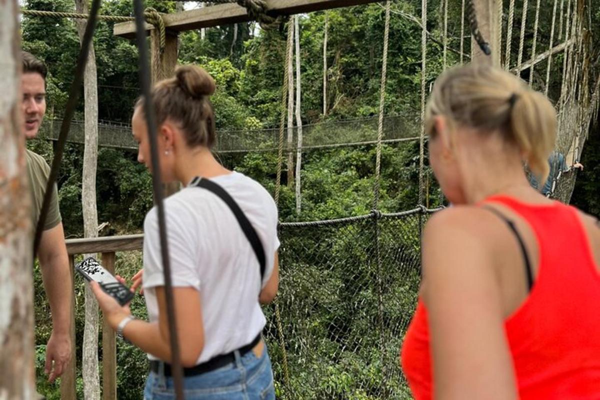un grup de persones dempeus en un pont penjant