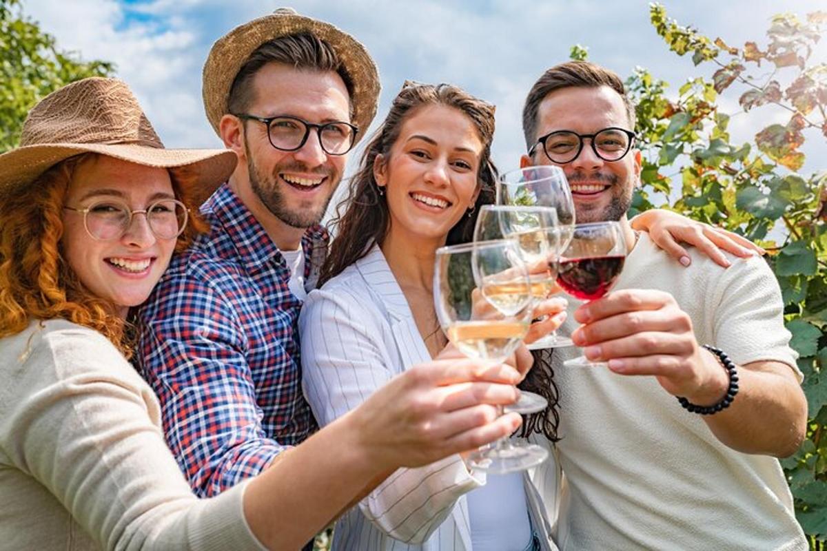 sekelompok orang minum anggur di kebun anggur