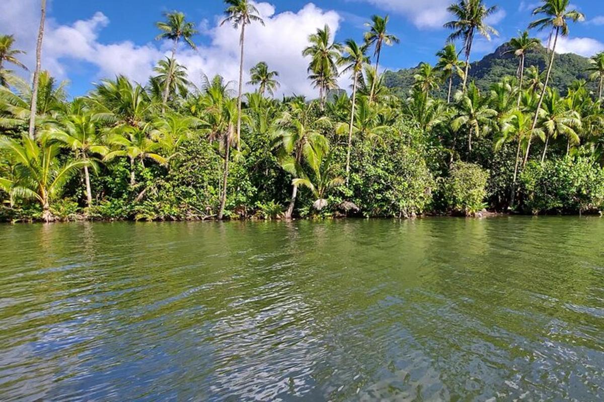 a body of water with palm trees in the background