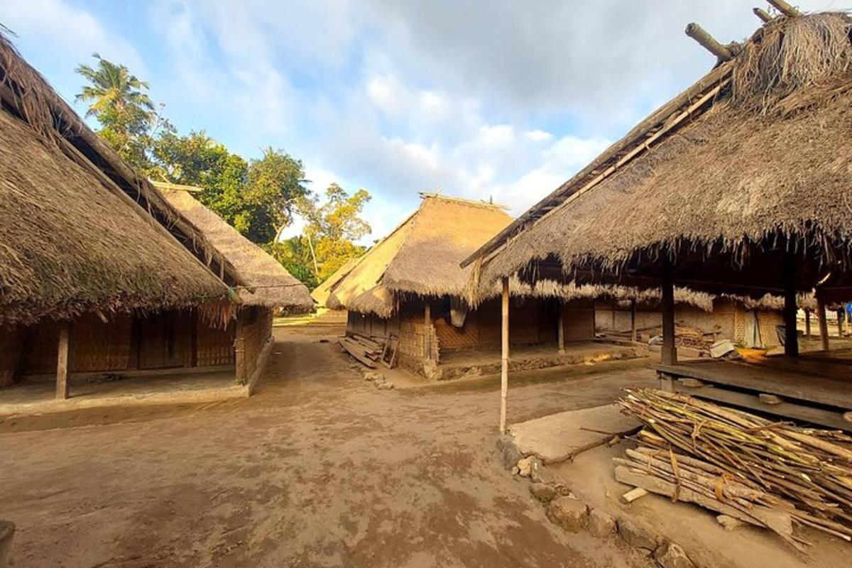 a group of houses with thatched roofs in a village