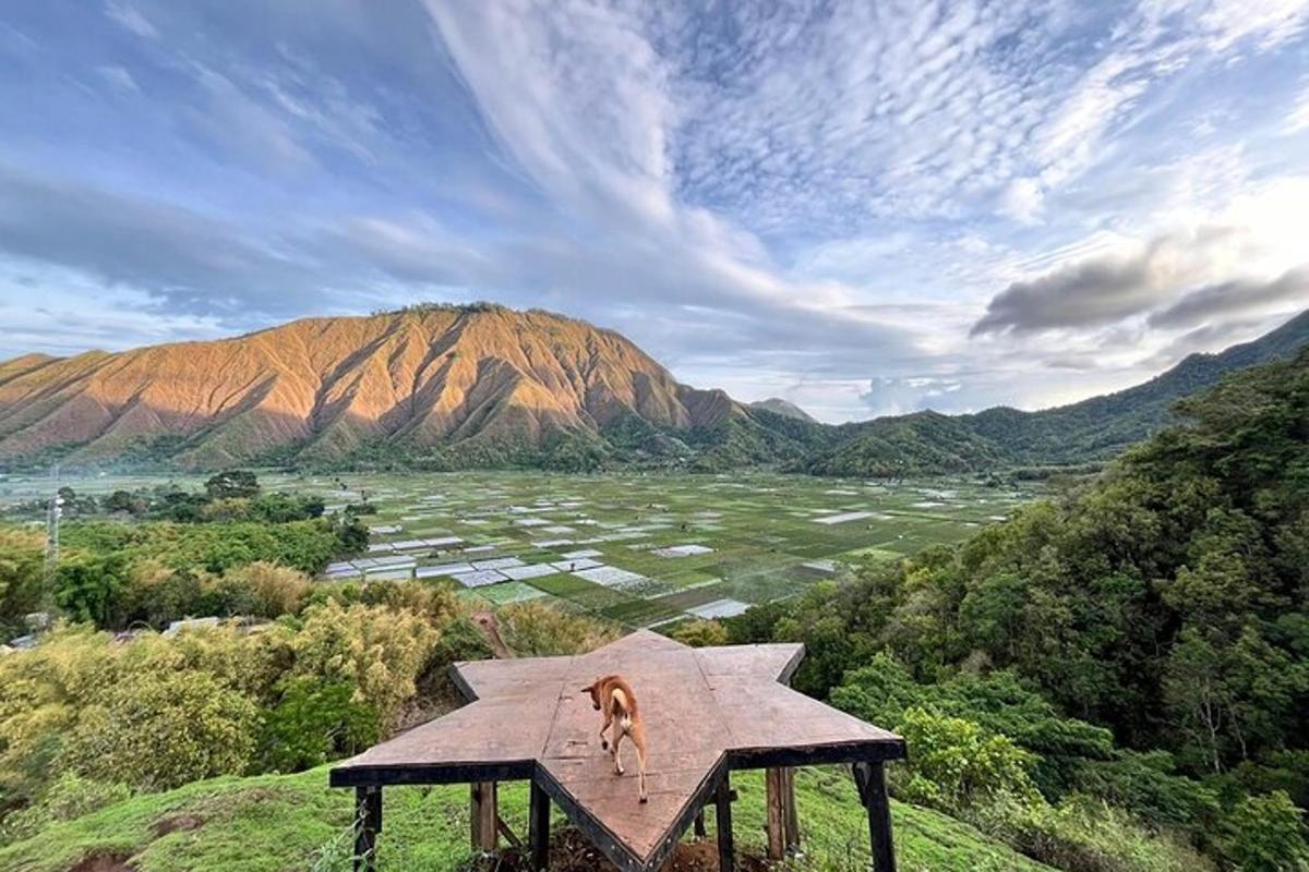 a dog sitting on a bench overlooking a valley