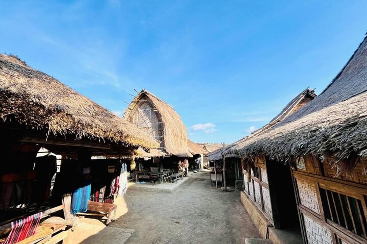 a group of buildings with thatched roofs and tables