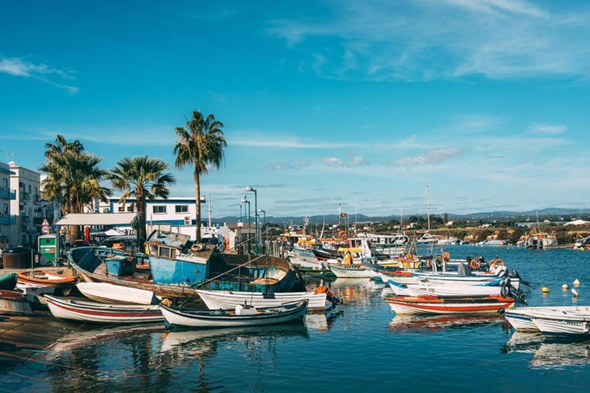 a bunch of boats are docked in a harbor