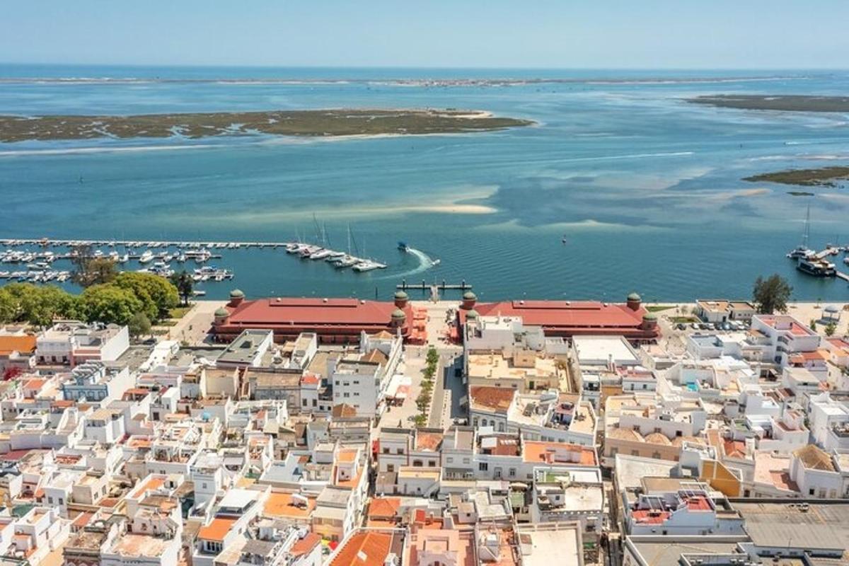 an aerial view of a city with boats in the water