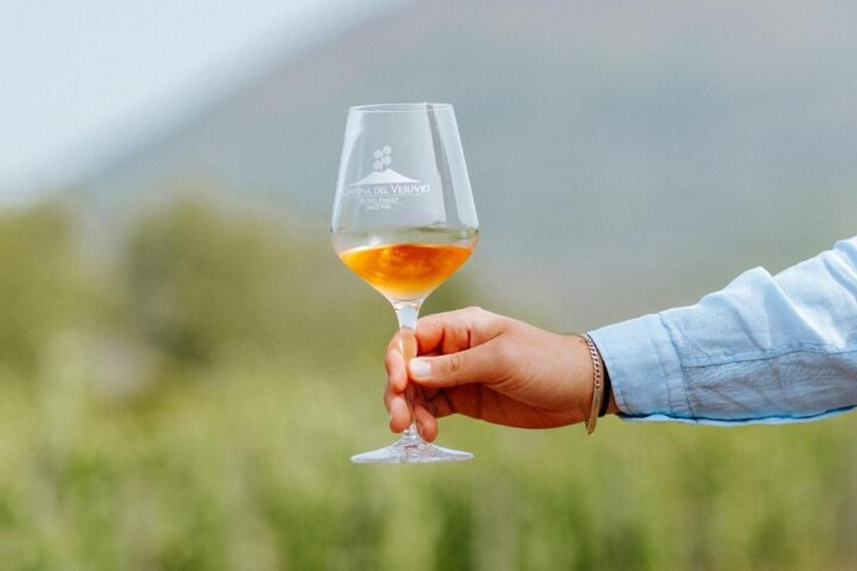 una persona che tiene in mano un bicchiere di vino