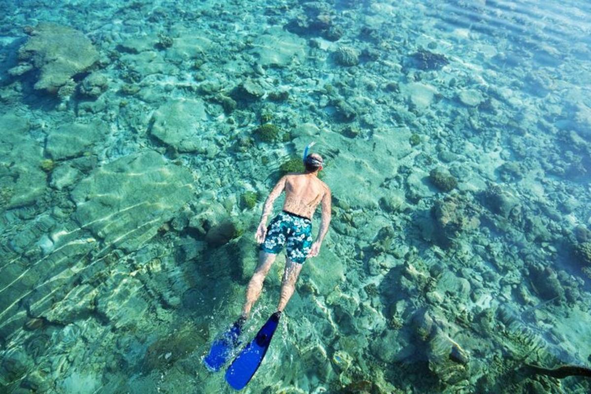 un uomo che nuota nell'acqua con un frisbee