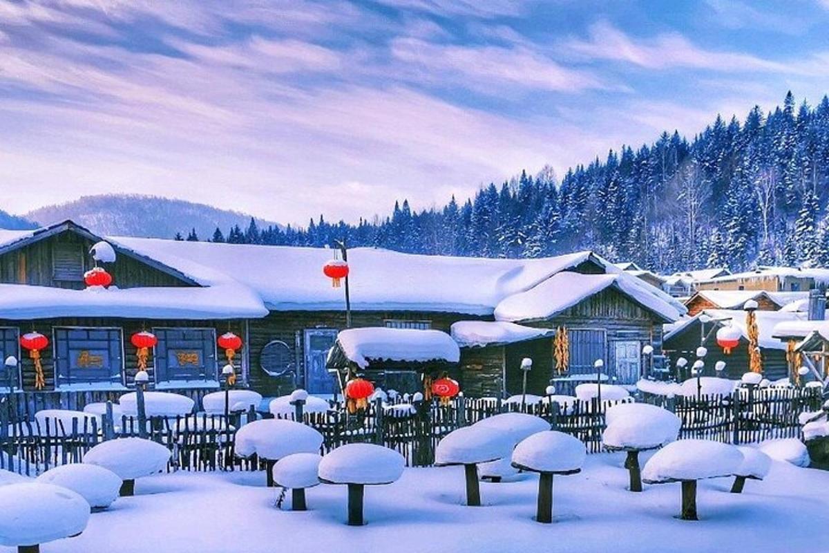 a group of chairs covered in snow in front of a building