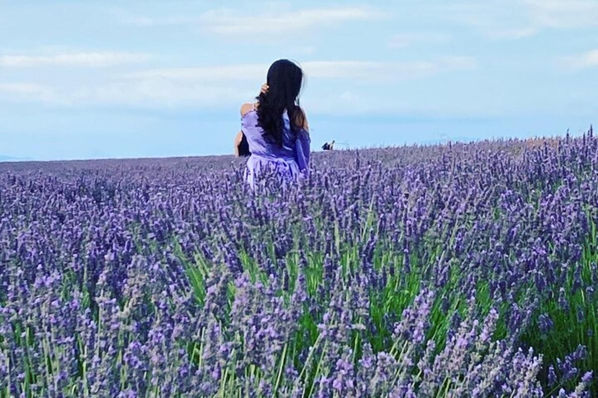 a woman standing in a field of lavender