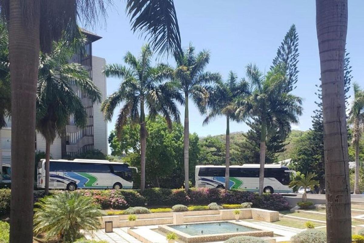 dua buah bas diletakkan di tempat letak kereta dengan pokok palma
