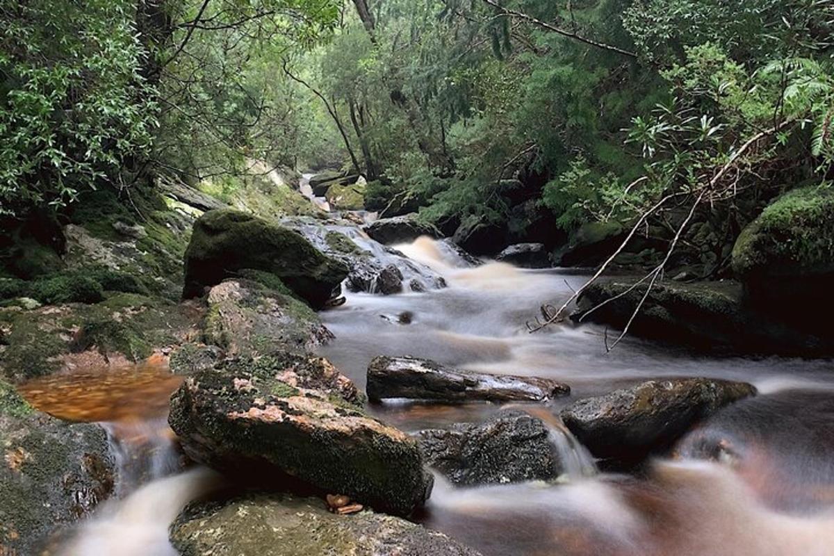 aliran air dengan batu di dalam hutan