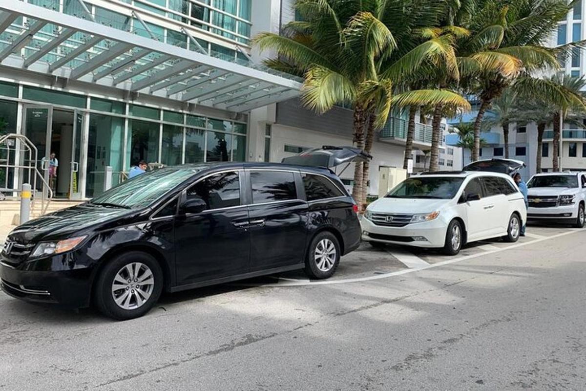 due auto parcheggiate davanti a un edificio con palme