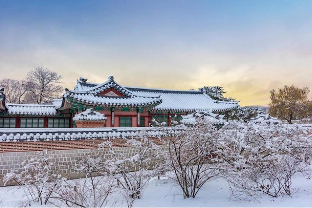 un edifici xinès cobert de neu en un jardí